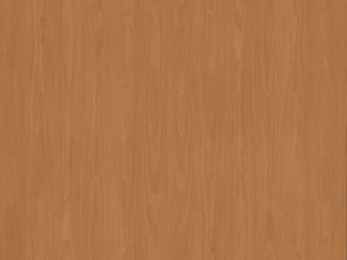 1724 Fall Sugar Maple